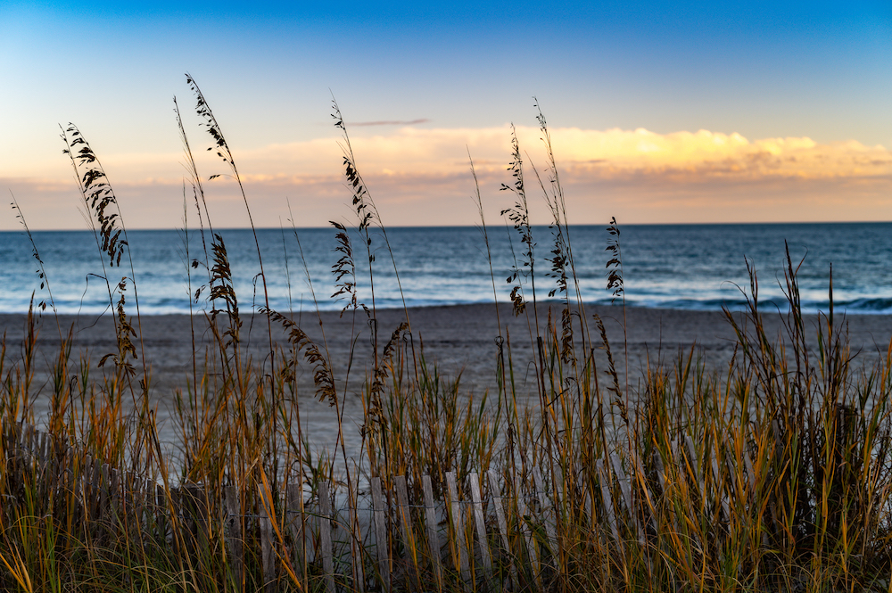 sunset view of beach and dune grass and sea oats